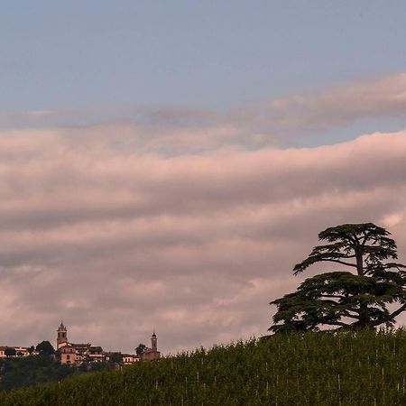 Villa Goccia Di Vino La Morra Kültér fotó