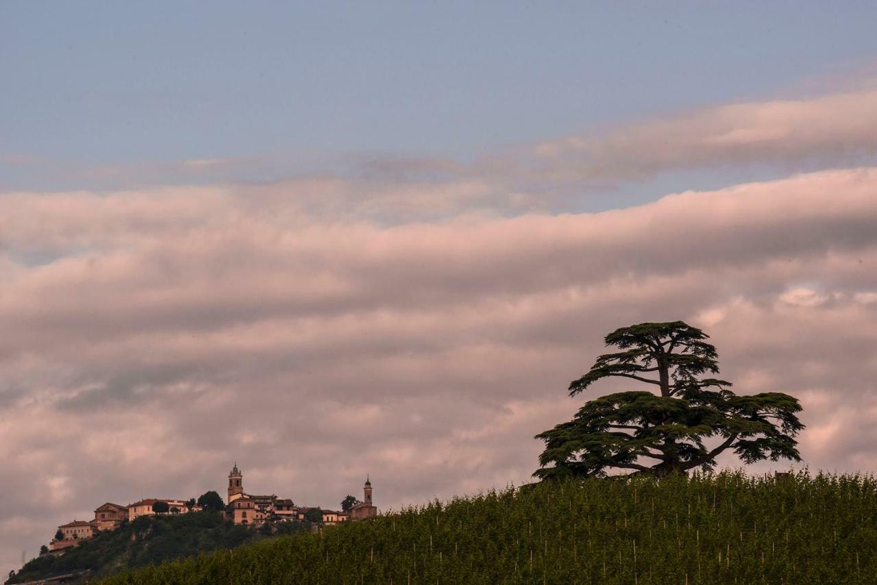 Villa Goccia Di Vino La Morra Kültér fotó